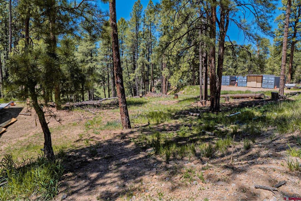 171 Snowbird Court