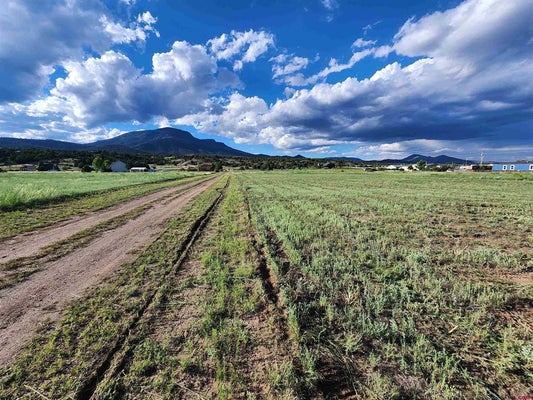 84 ORONDOA RD, SOUTH FORK, CO 81154 - Image ff463bb0a2adefee1e7bf6bfdc1ef26e/231603163