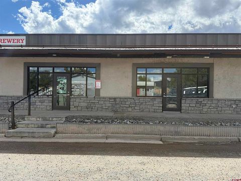 Photo of 102 & 104 Campbell Drive, Ridgway, CO 81432 (MLS # 829537)