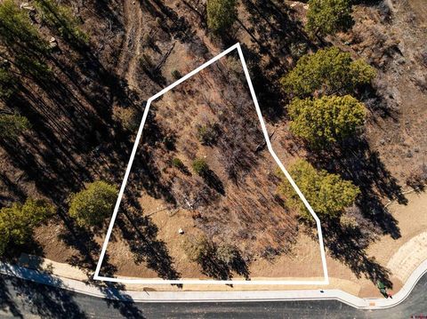 77 Winterberry Ct (Lot 124) Durango CO 81301