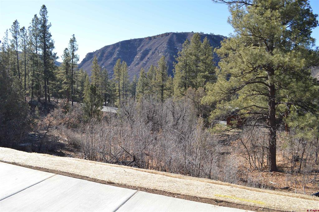 77 Winterberry Ct (Lot 124)