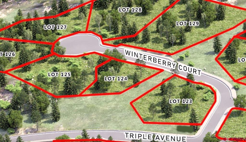 77 Winterberry Ct (Lot 124)