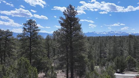 Photo of 141 Big Canyon Point, Ridgway, CO 81432 (MLS # 830829)