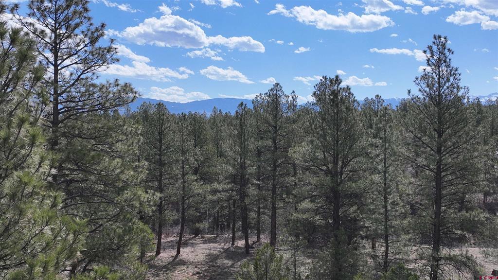 141 Big Canyon Point