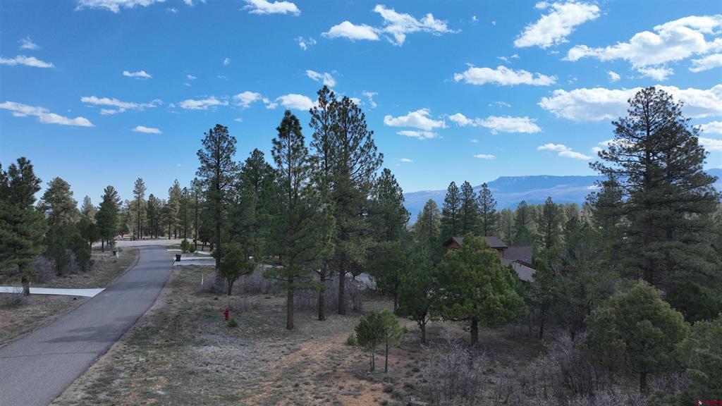 141 Big Canyon Point