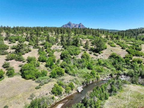 TBD County Road 382 Pagosa Springs CO 81128
