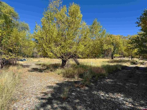 TBD Vacant Ground Paonia CO 81428