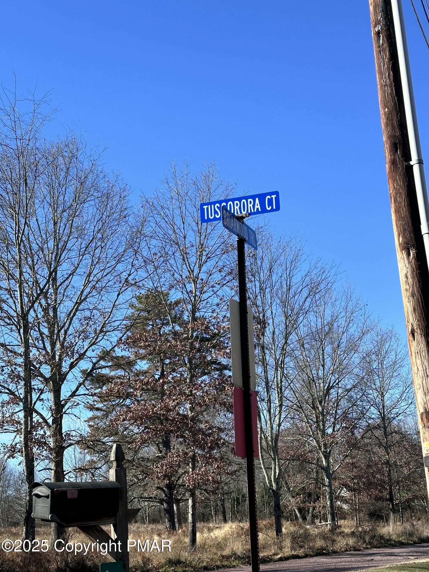 Lot 55 & Tuscarora Court, Beach Lake, Pennsylvania image 4