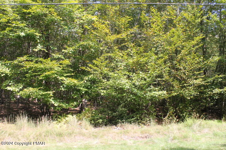 Lot 24 Sheshequin Drive, Pocono Lake, Pennsylvania image 6