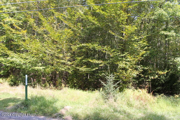 Lot 24 Sheshequin Drive, Pocono Lake, Pennsylvania image 3