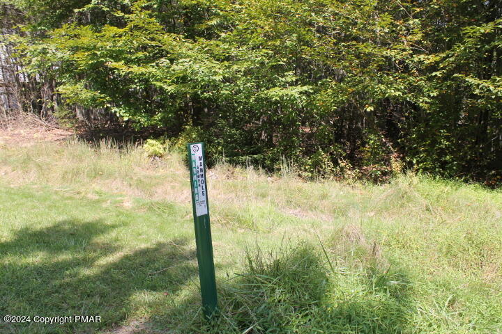 Lot 24 Sheshequin Drive, Pocono Lake, Pennsylvania image 2