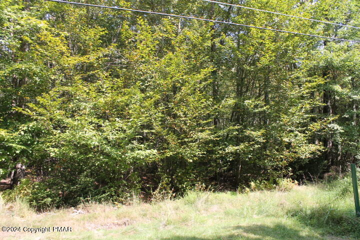 Lot 24 Sheshequin Drive, Pocono Lake, Pennsylvania image 5