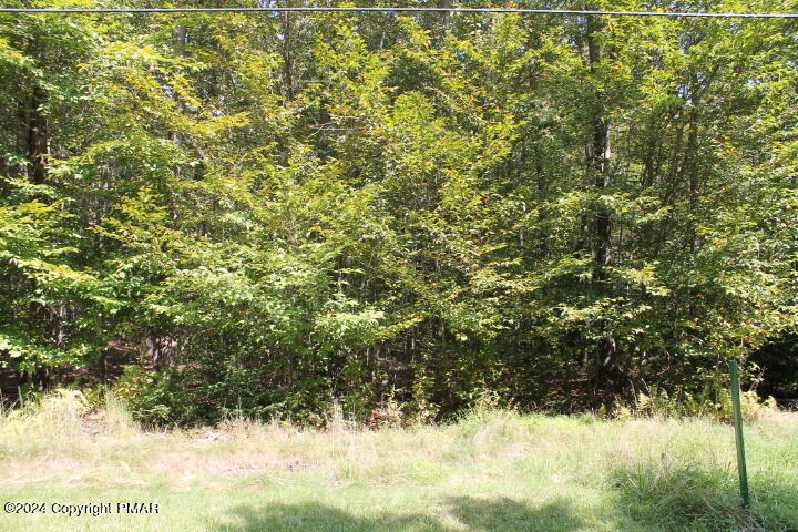 Lot 24 Sheshequin Drive, Pocono Lake, Pennsylvania image 4