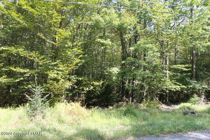 Lot 24 Sheshequin Drive, Pocono Lake, Pennsylvania image 1