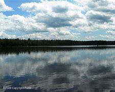 Horshoe Bend 554, Tobyhanna, Pennsylvania image 14