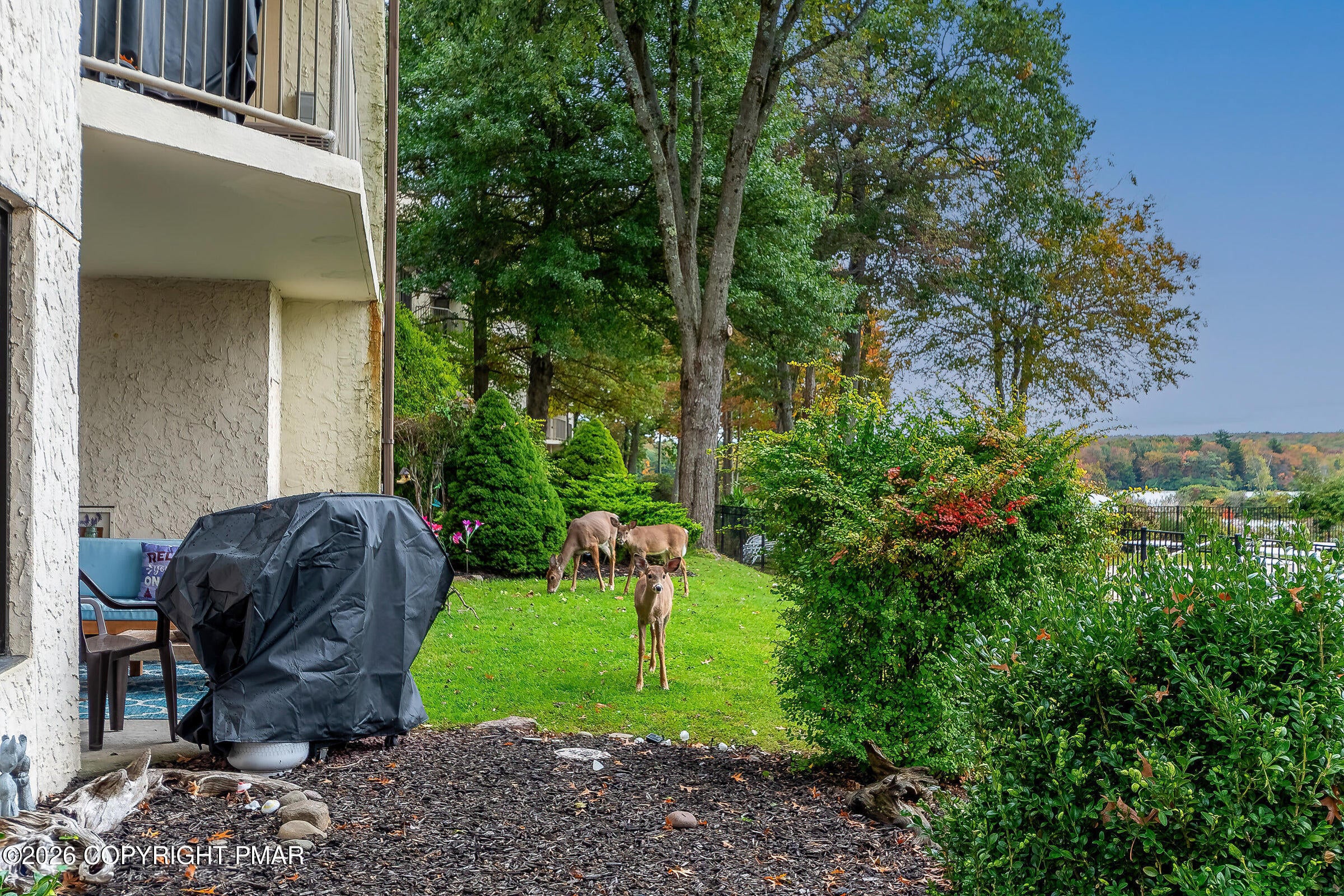 5 Midlake Drive