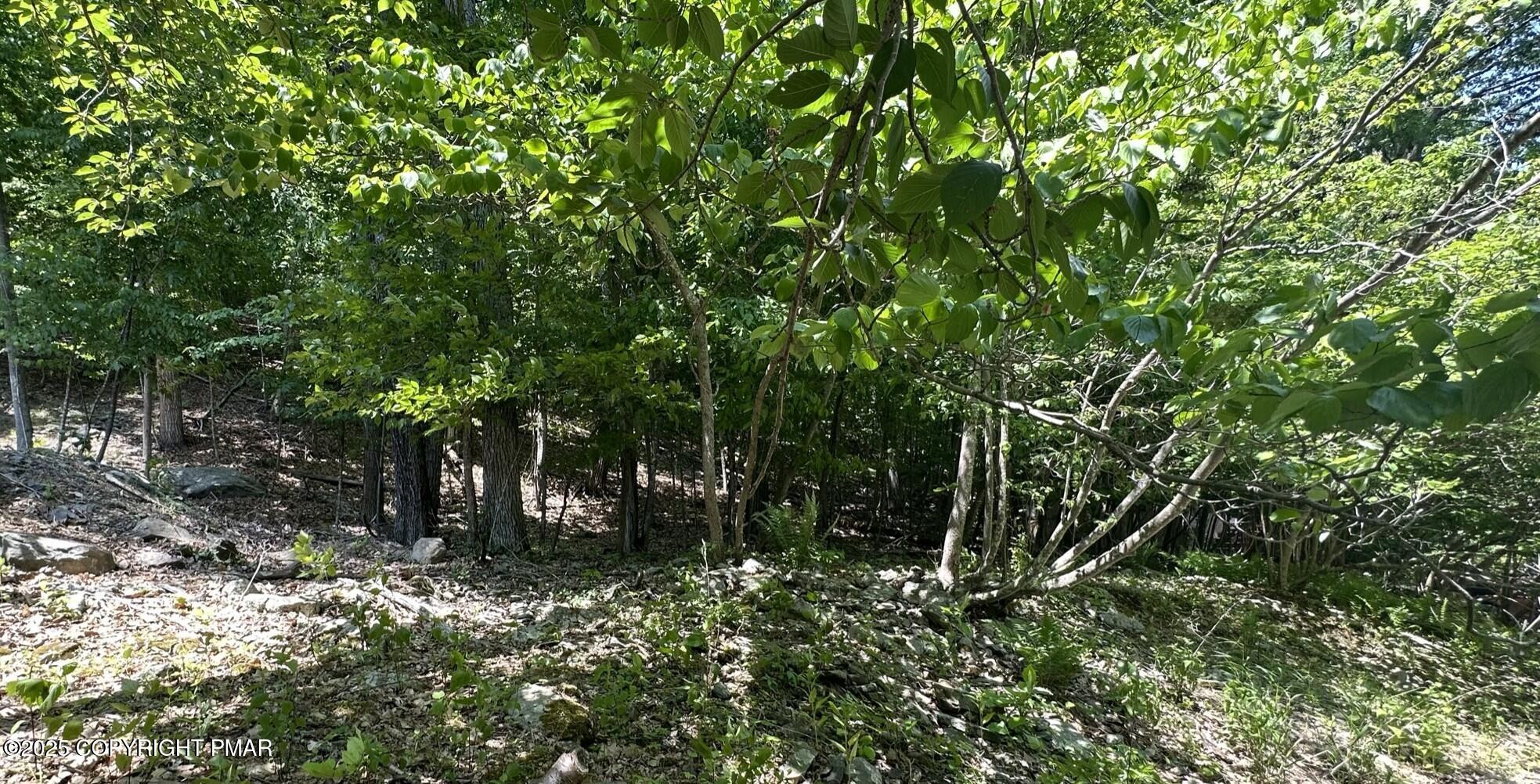 Lot 71 Eagle Path