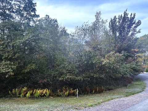 56 Rd Nn Pocono Pines PA 18350