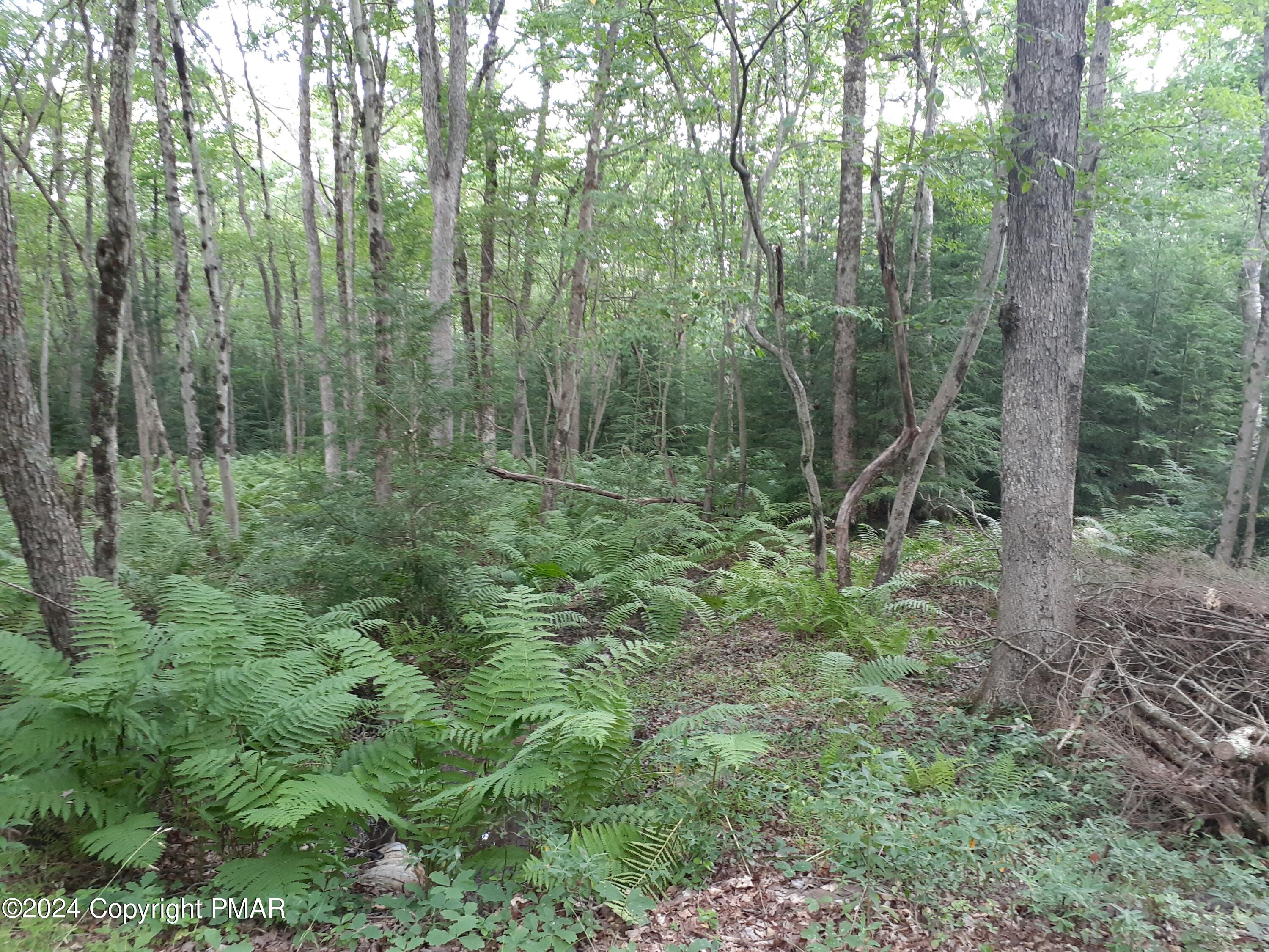 A143 Rosewood Drive, Jim Thorpe, Pennsylvania image 33