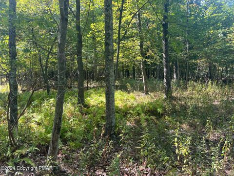 Vacant Land For Sale - Werkheiser Lane<br/> Monroe County, Stroudsburg, PA 18360