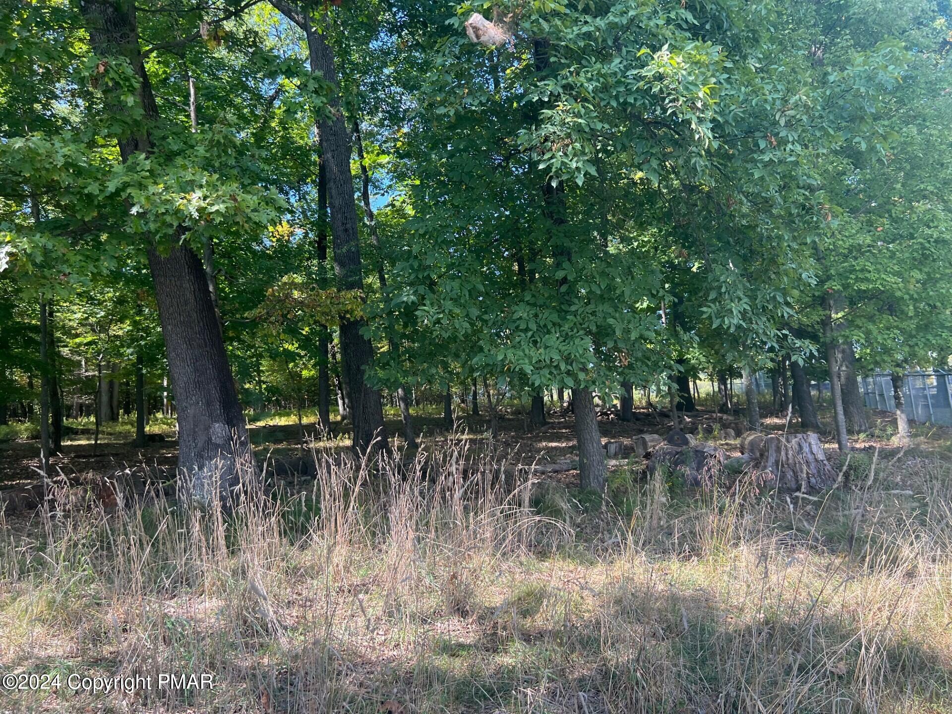 Werkheiser Lane, Stroudsburg, Pennsylvania image 4