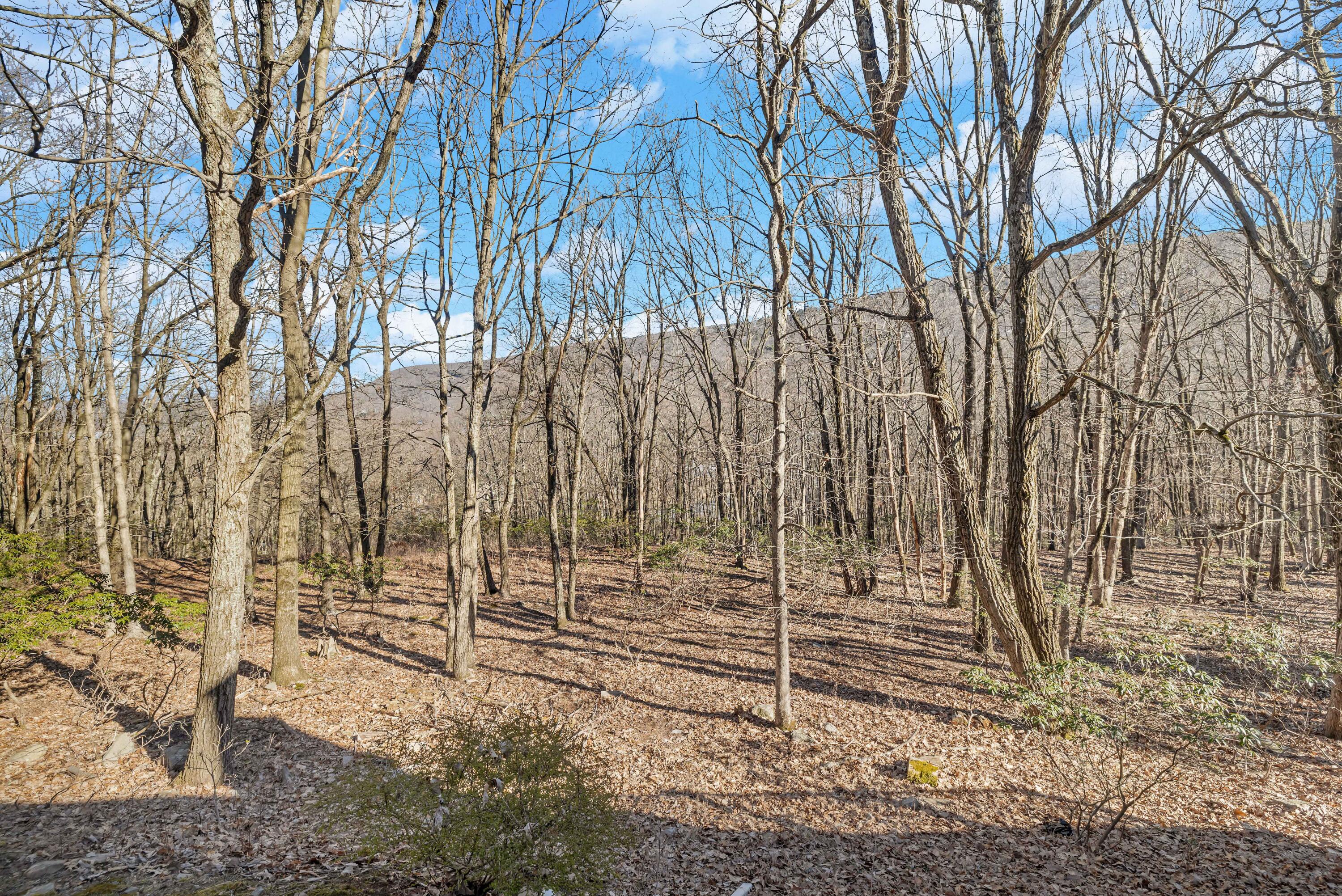 426 Oak Court, Tannersville, Pennsylvania image 27