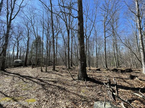 Vacant Land For Sale - Berry Ln 217 Lane<br/> Cresco, PA 18326