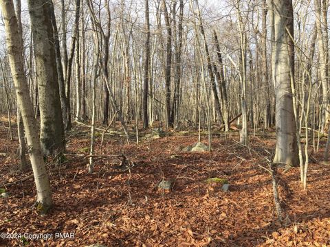 K1452 S Lehigh River Drive Clifton Township PA 18424