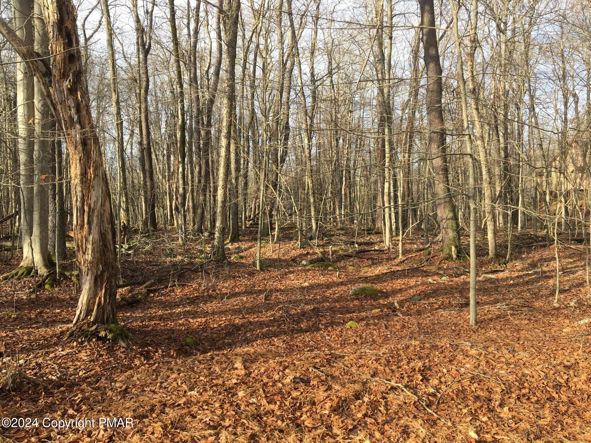 K1452 S Lehigh River Drive