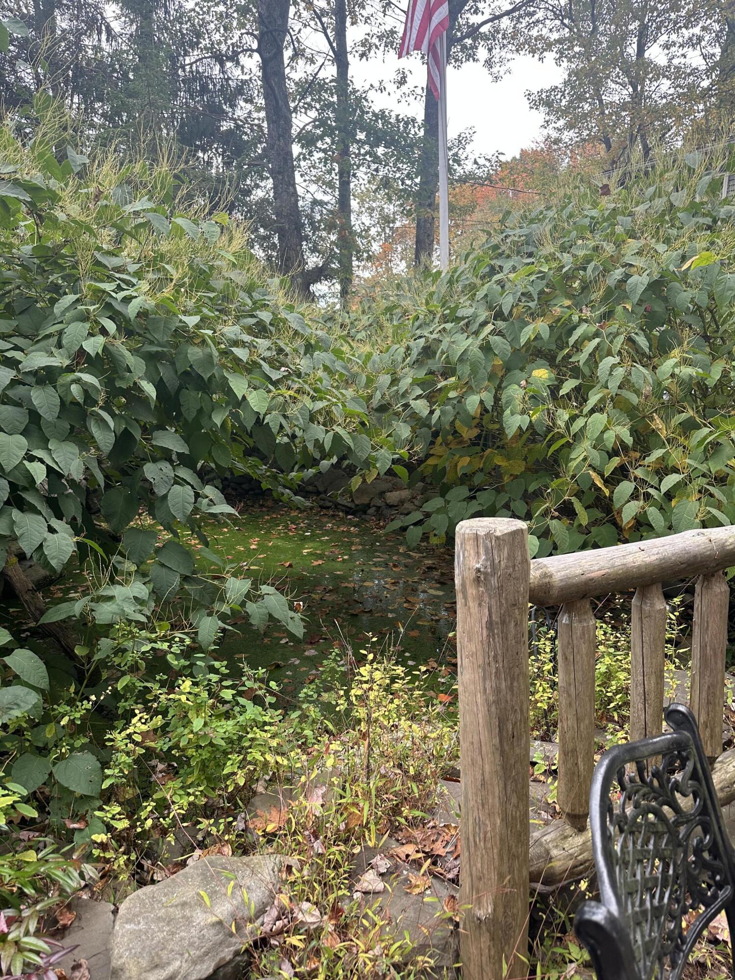 152 Fairview Avenue, Mount Pocono, Pennsylvania image 2