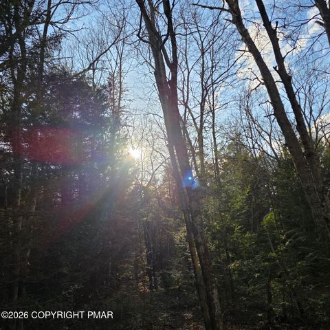 Vacant Land For Sale - Snowy Ridge<br/> Jim Thorpe, PA 18229