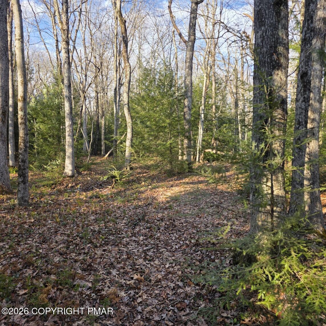 Snowy Ridge 50C-51-J646