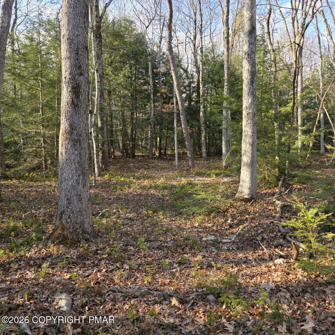 Snowy Ridge 50C-51-J646