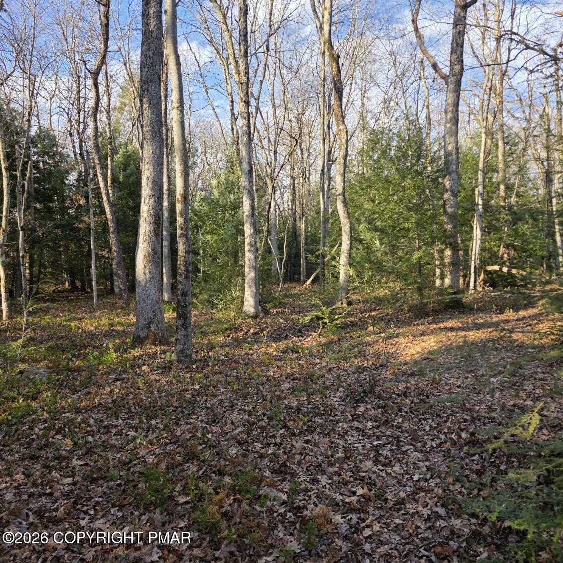 Snowy Ridge 50C-51-J646