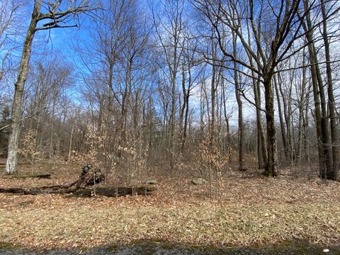 Vacant Land For Sale - 1020 W Wadi Road<br/> Monroe County, Pocono Lake, PA 18347