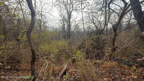 W Lafayette Street Easton PA 18042