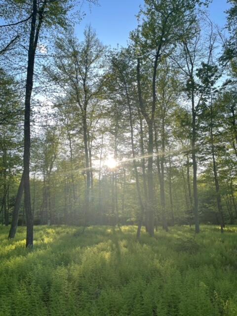 Lot 23 Hemlock Road, Kunkletown, Pennsylvania image 3