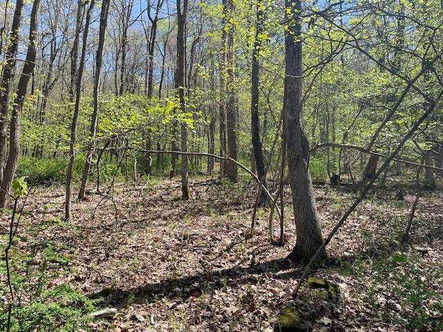Lot 23 Hemlock Road, Kunkletown, Pennsylvania image 1