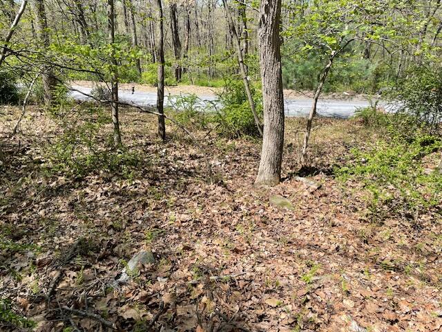 Lot 23 Hemlock Road, Kunkletown, Pennsylvania image 2