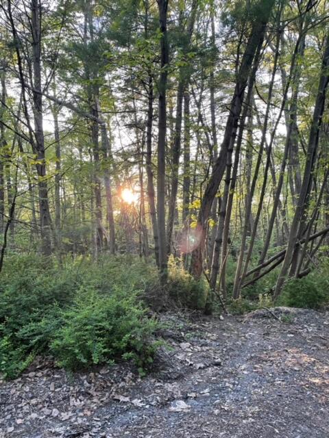 Lot 23 Hemlock Road, Kunkletown, Pennsylvania image 7