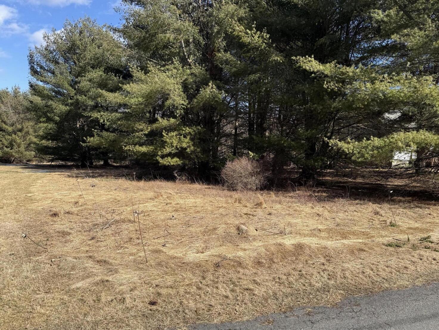 Woodledge Village Meadow Court, Hawley, Pennsylvania image 9
