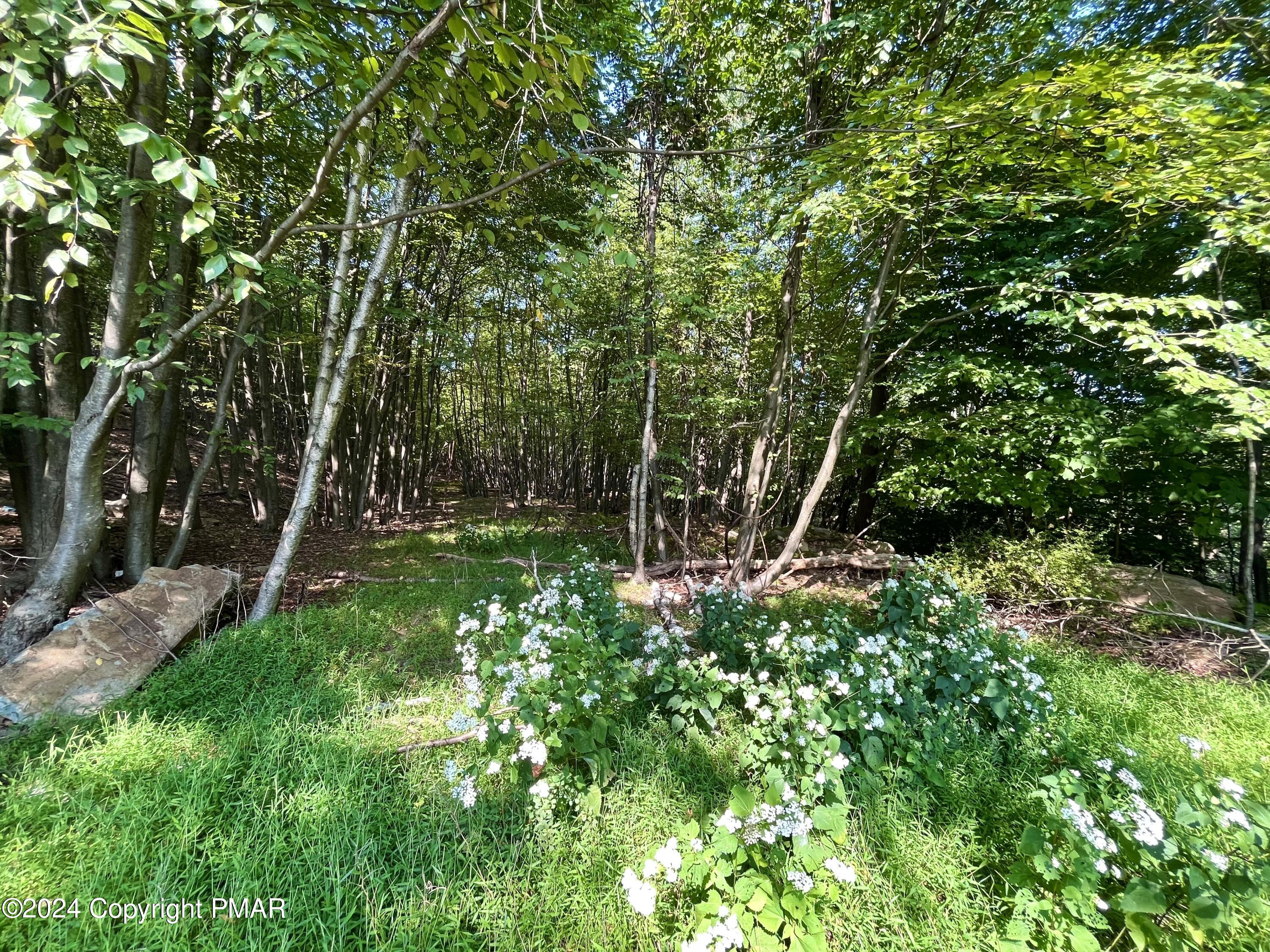 259 Sky View Te Terrace, Effort, Pennsylvania image 6