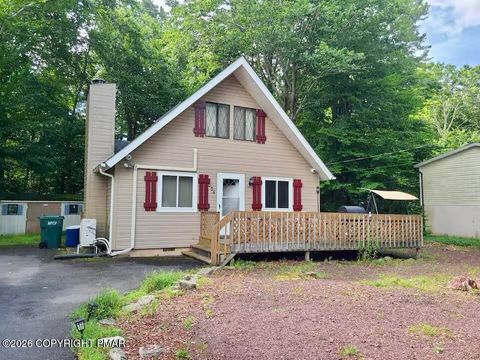 4517 Briarcliff Terrace Tobyhanna PA 18466
