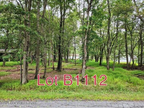 Lot B1112 Beaver Drive Albrightsville PA 18210