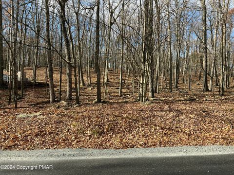 Vacant Land For Sale - 229 Forest Ridge Drive<br/> Hawley, PA 18428