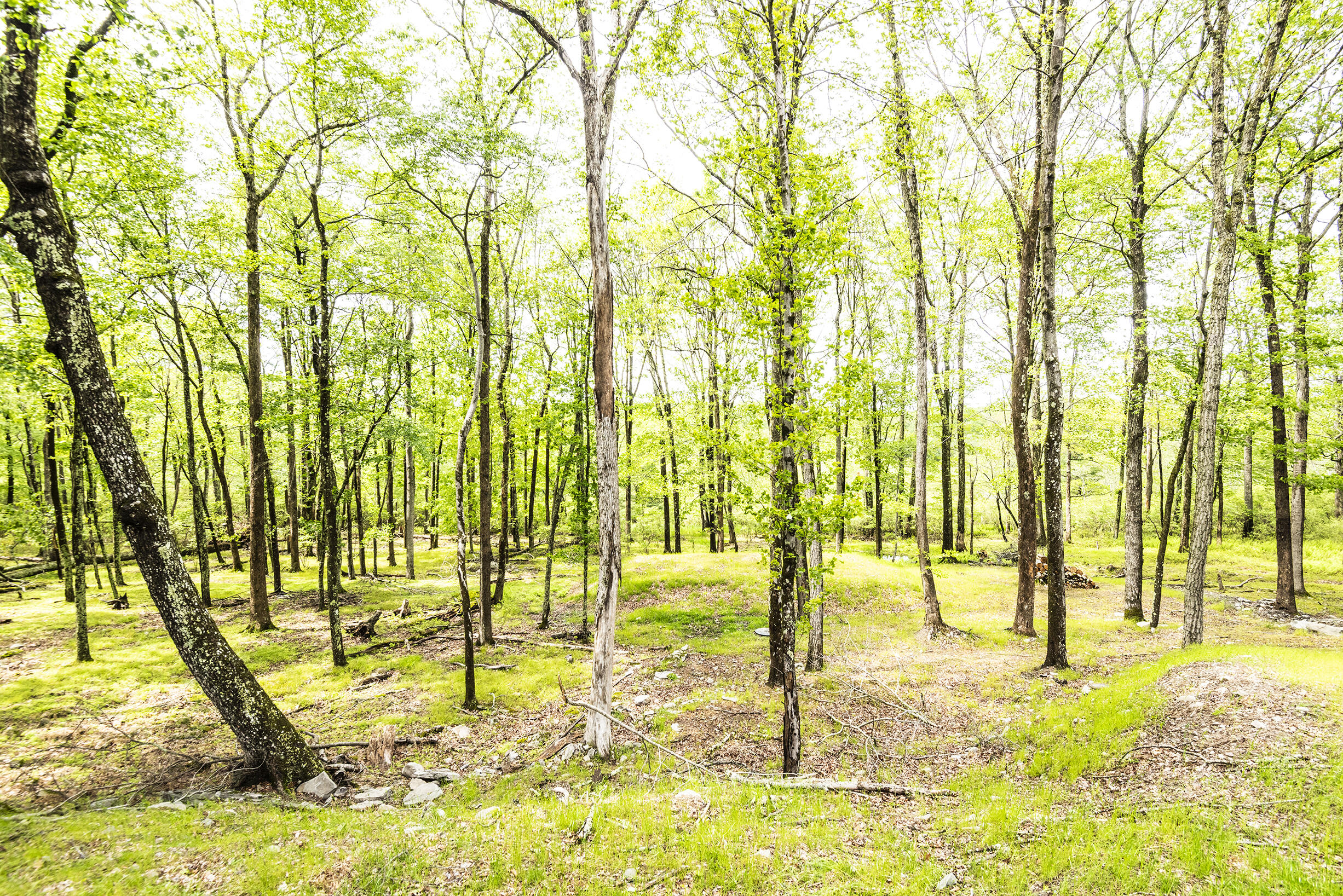 209 Conashaugh Trail, Milford, Pennsylvania image 10