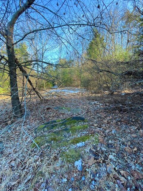 188 Chestnut Drive, Stroudsburg, Pennsylvania image 8