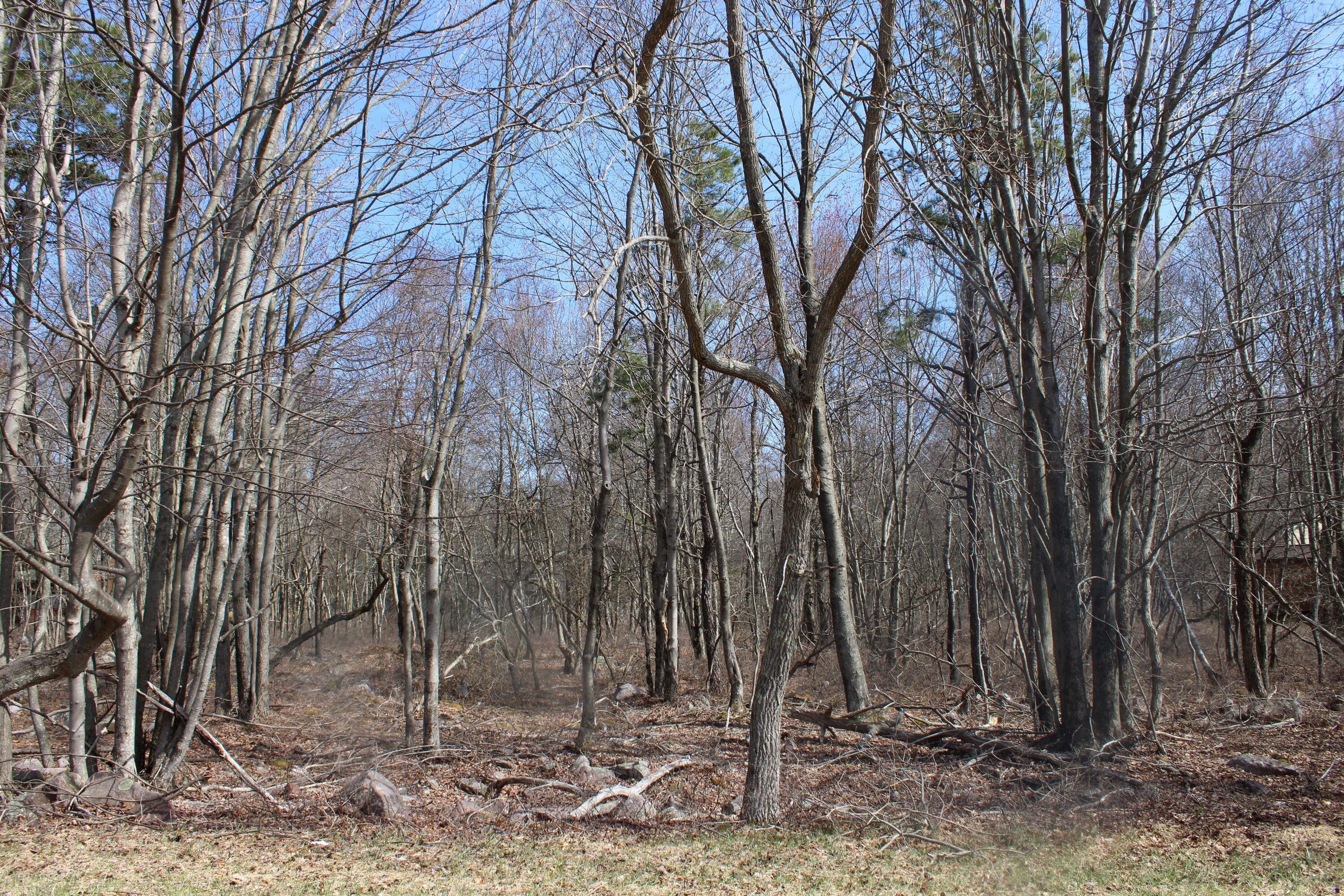86 & 87 Buck Hill Road, Blakeslee, Pennsylvania image 1