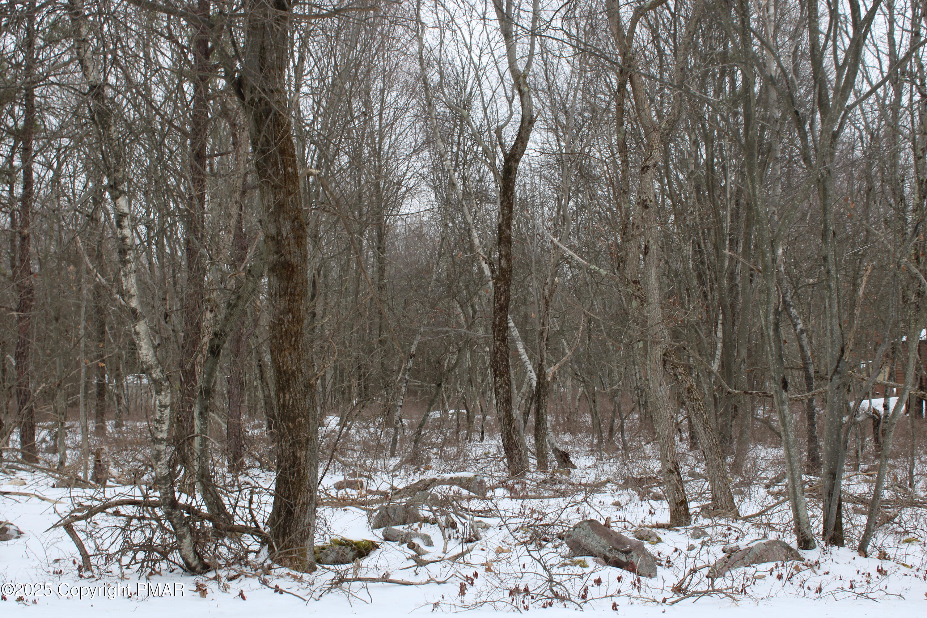 86 & 87 Buck Hill Road, Blakeslee, Pennsylvania image 1