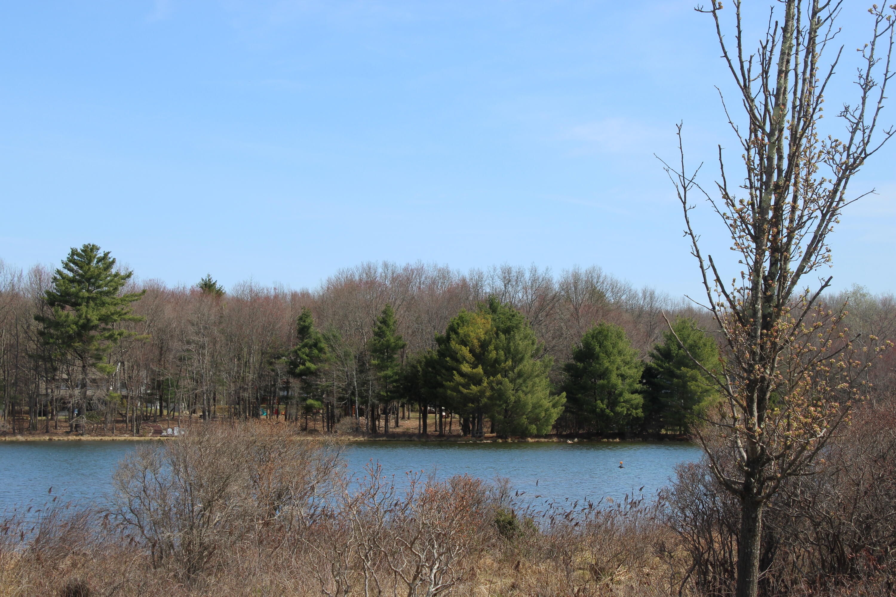 86 & 87 Buck Hill Road, Blakeslee, Pennsylvania image 20